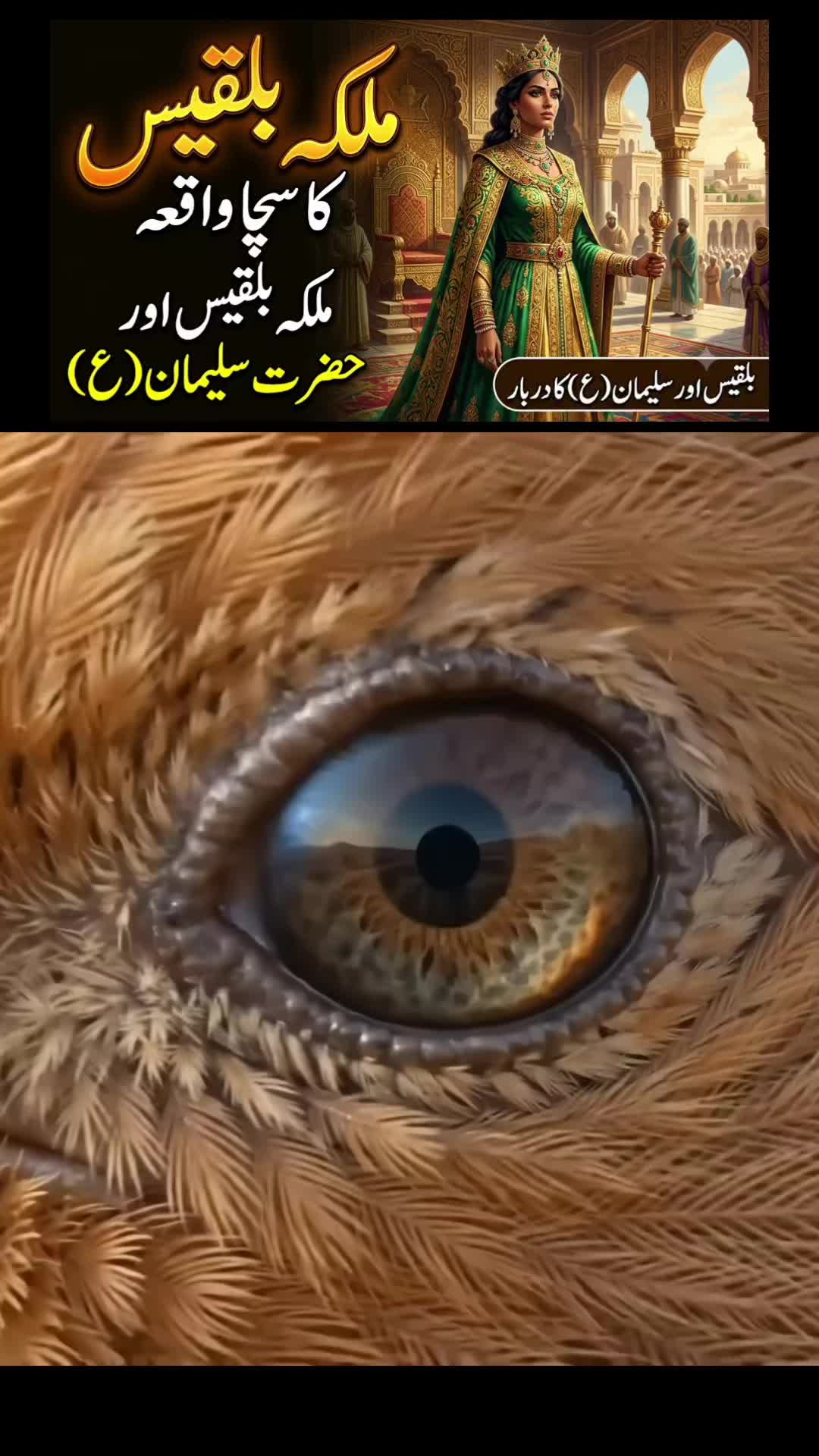 @Mansoor Ali Khan