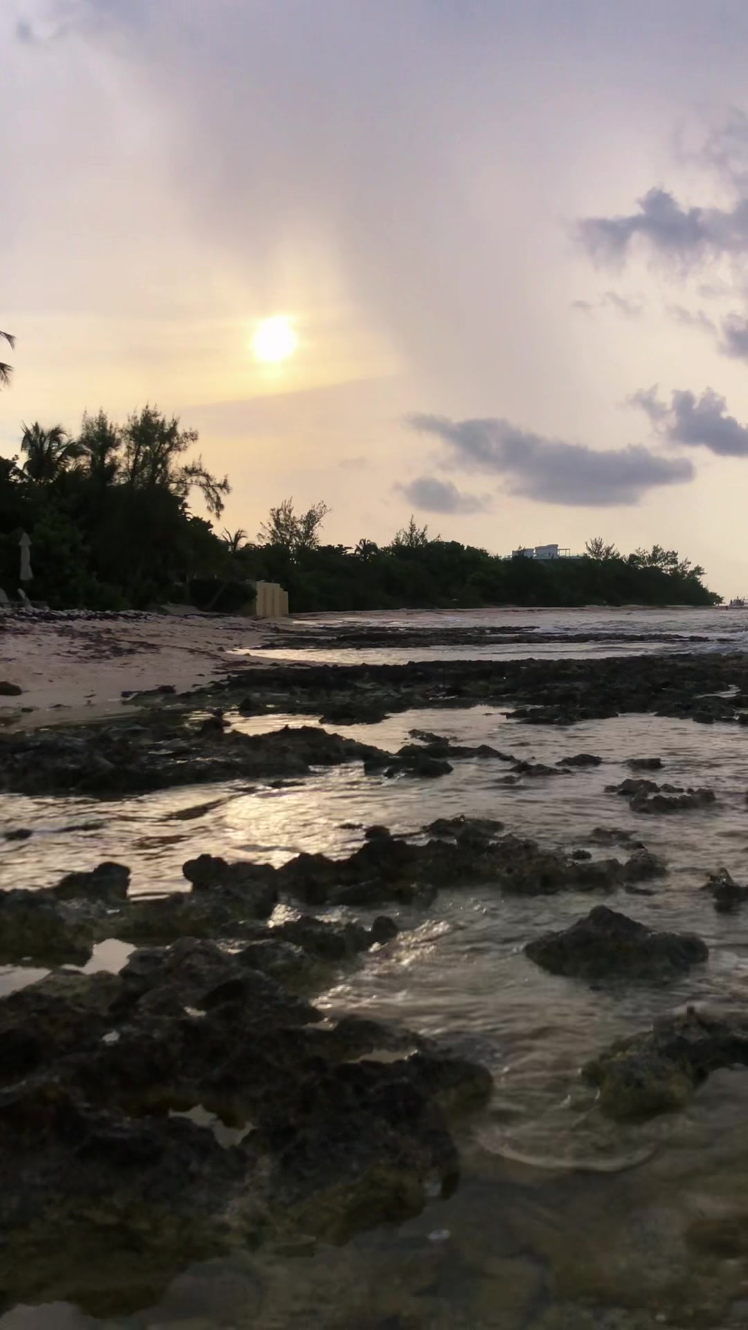 @CaymanPhotography