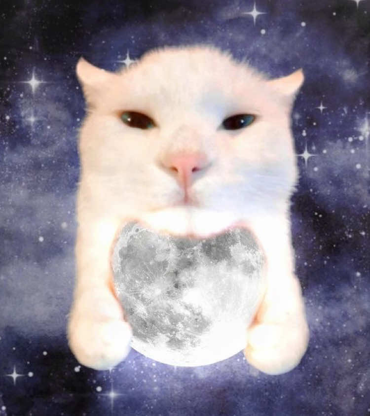 @𝕻𝖑𝖚𝖙𝖔 𝖘𝖔𝖚𝖑