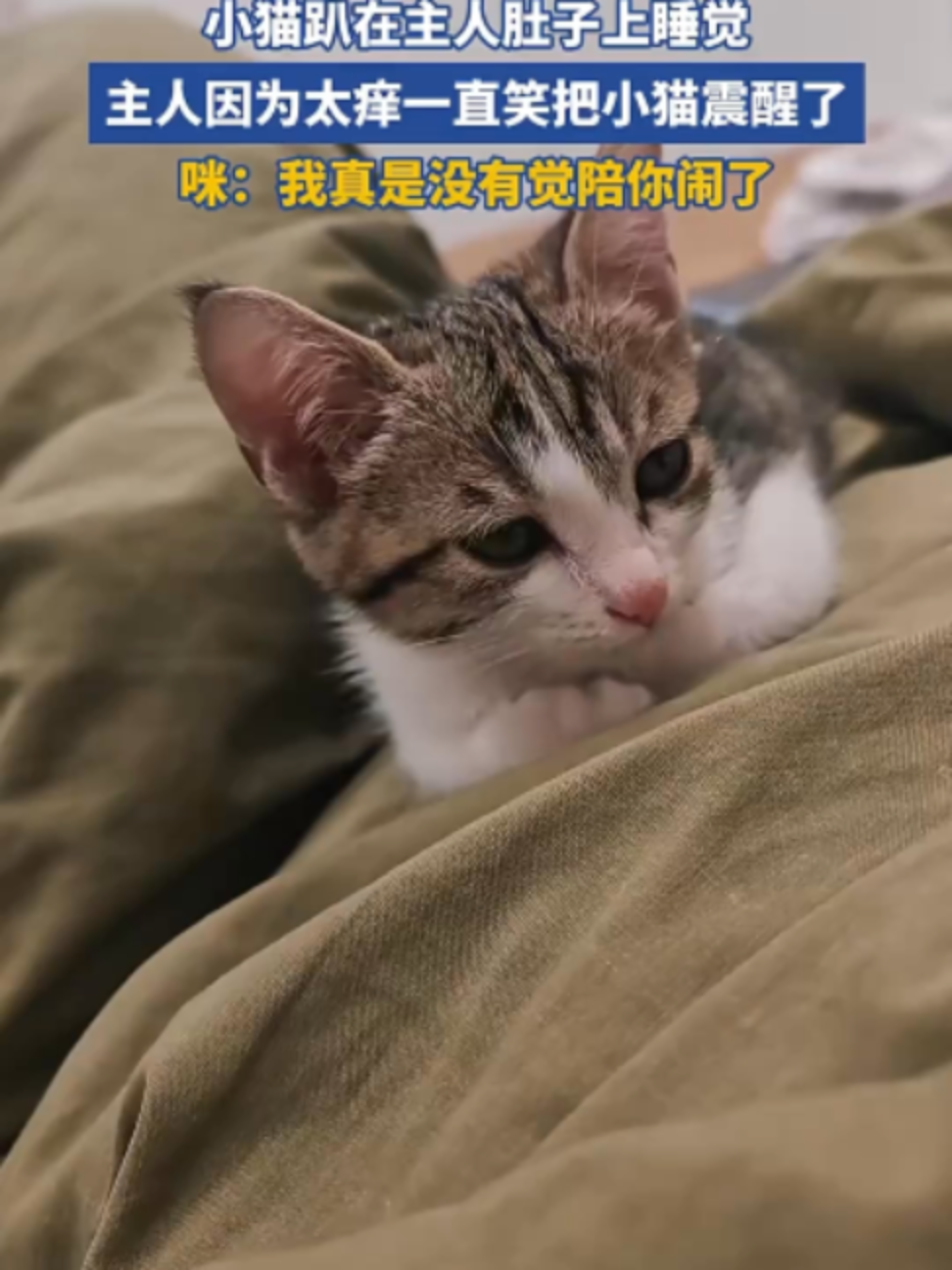 @中国蓝国际