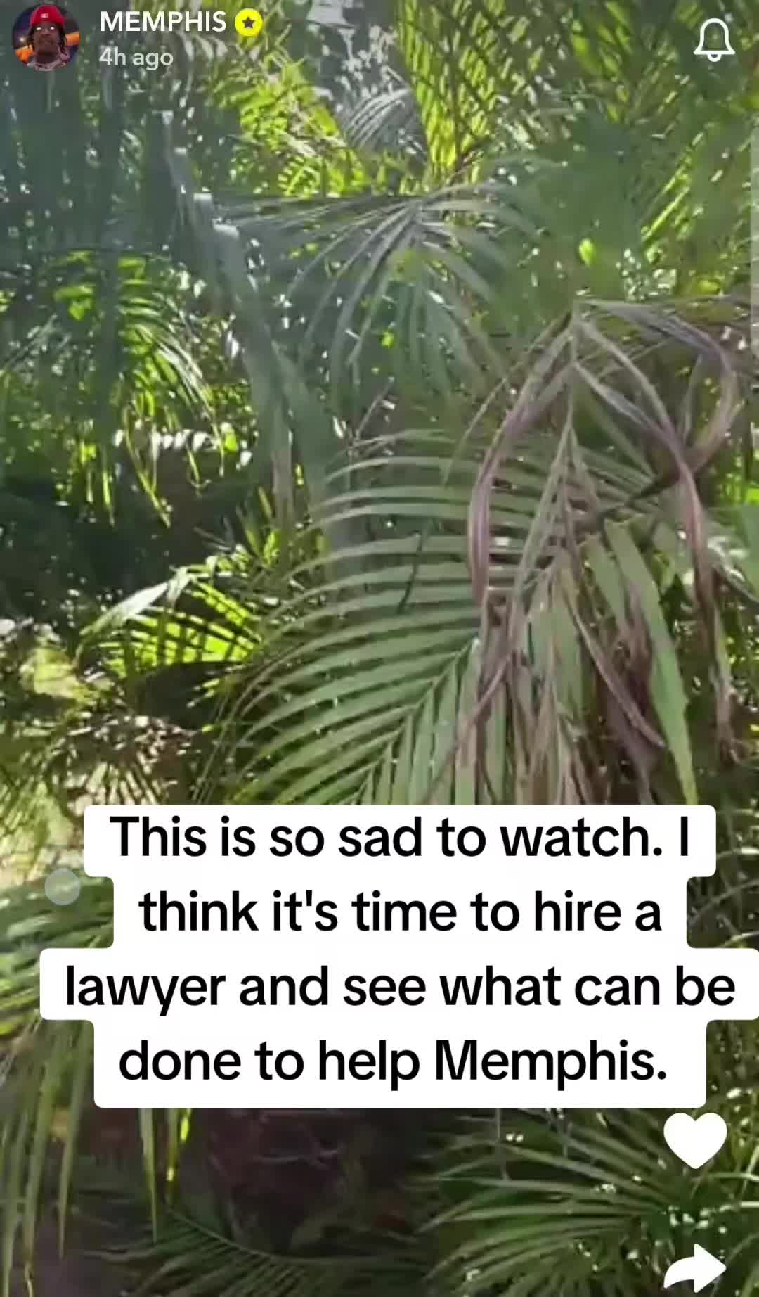 @𝓒𝓵𝓸𝓬𝓴 𝓲𝓽