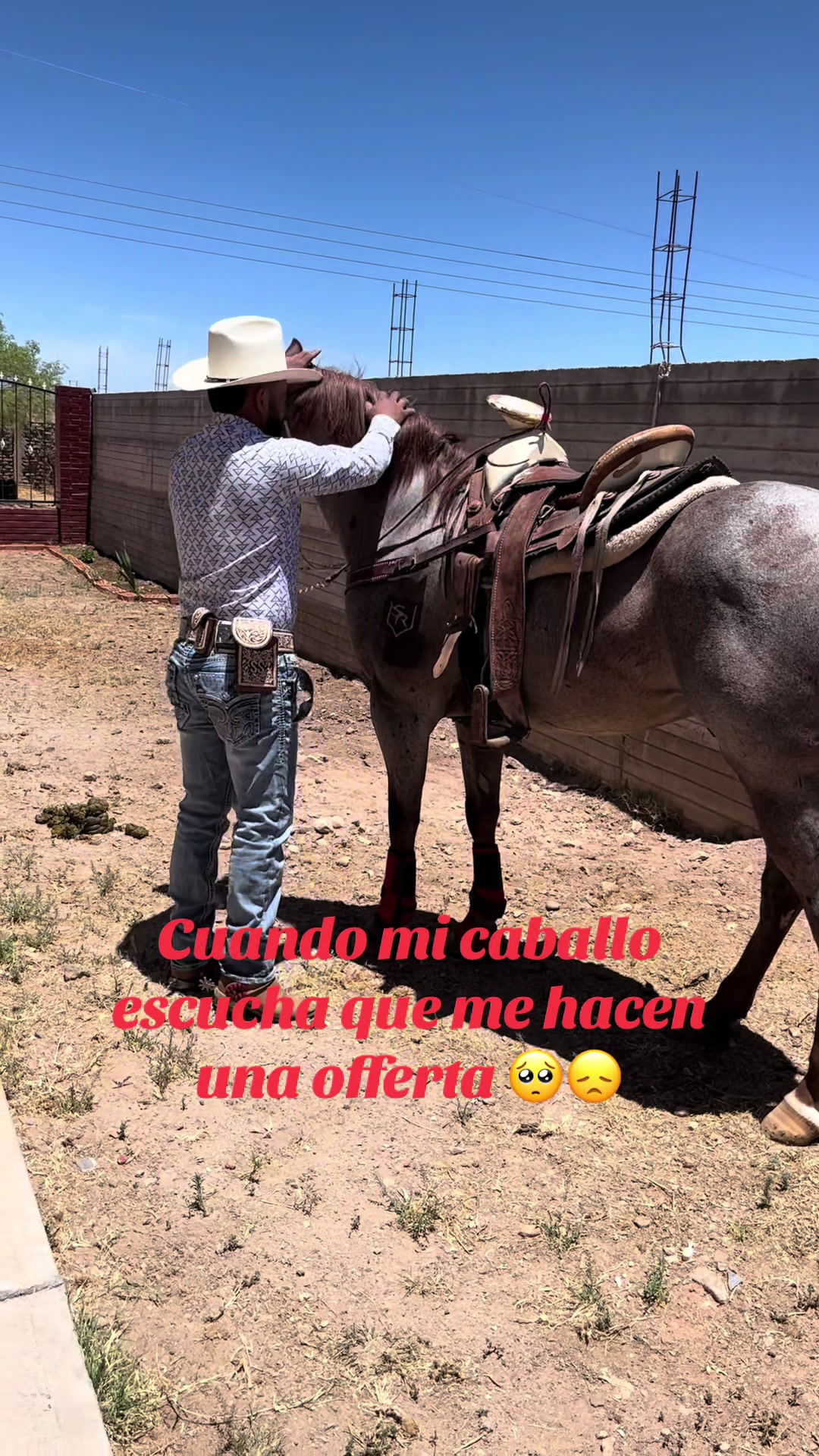 @Samuel S&aacute;nchez el sammy 😈😈👻