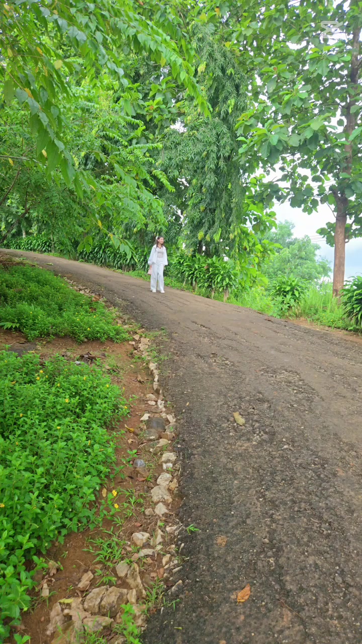 @sandar kyaw
