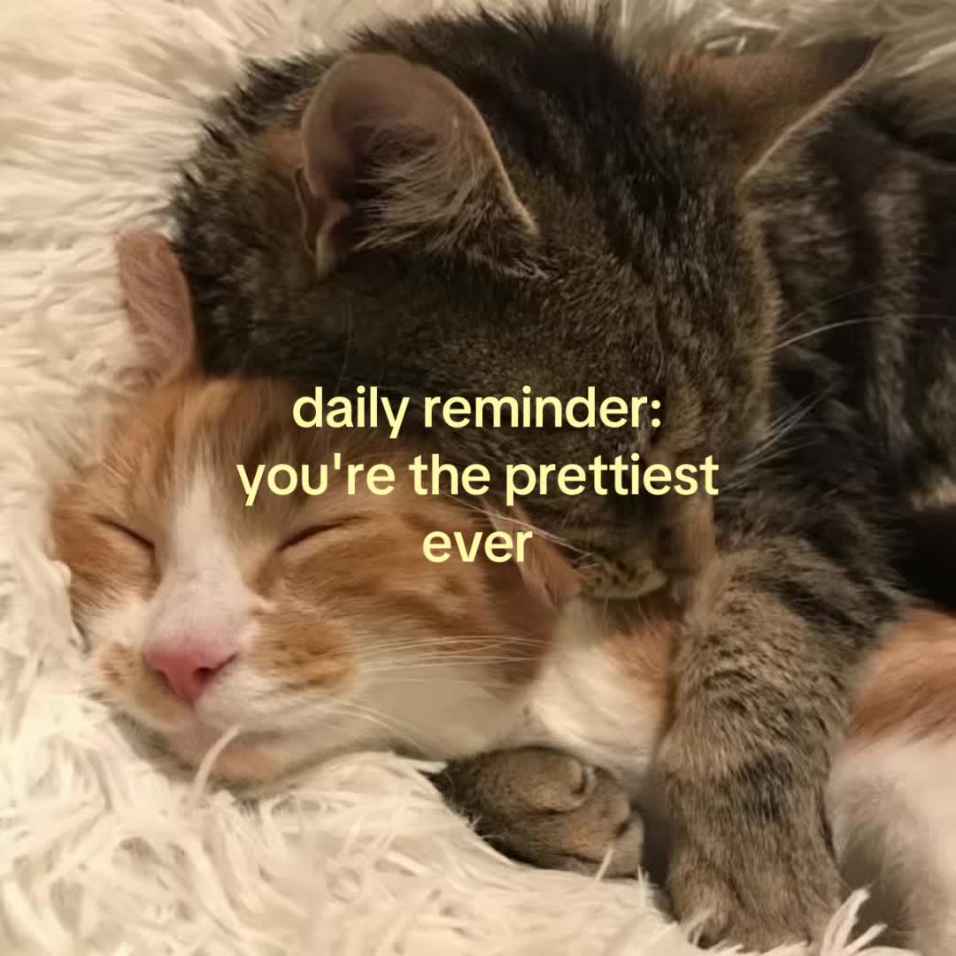 @thisbelovedlife