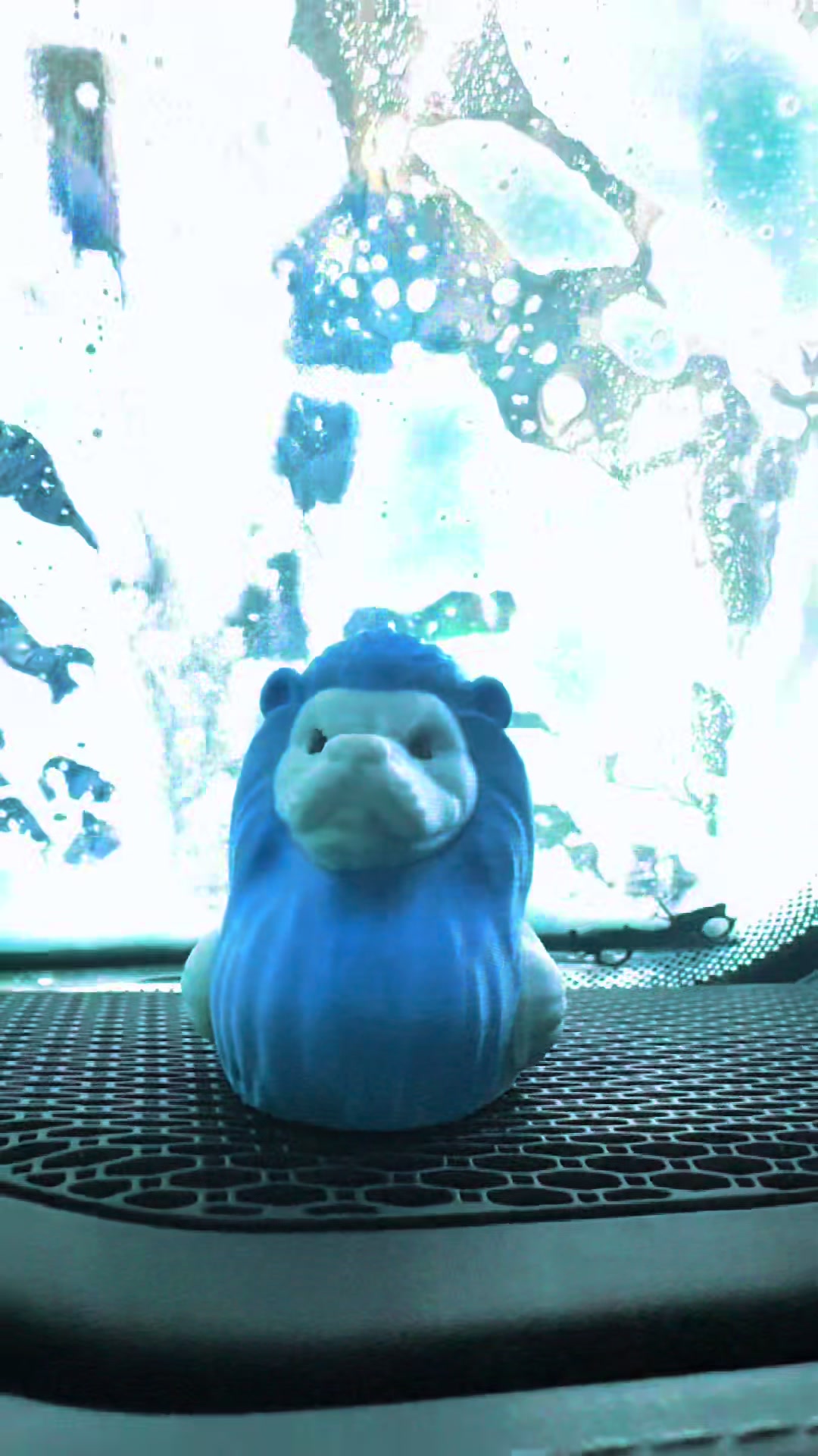 @duckaafo