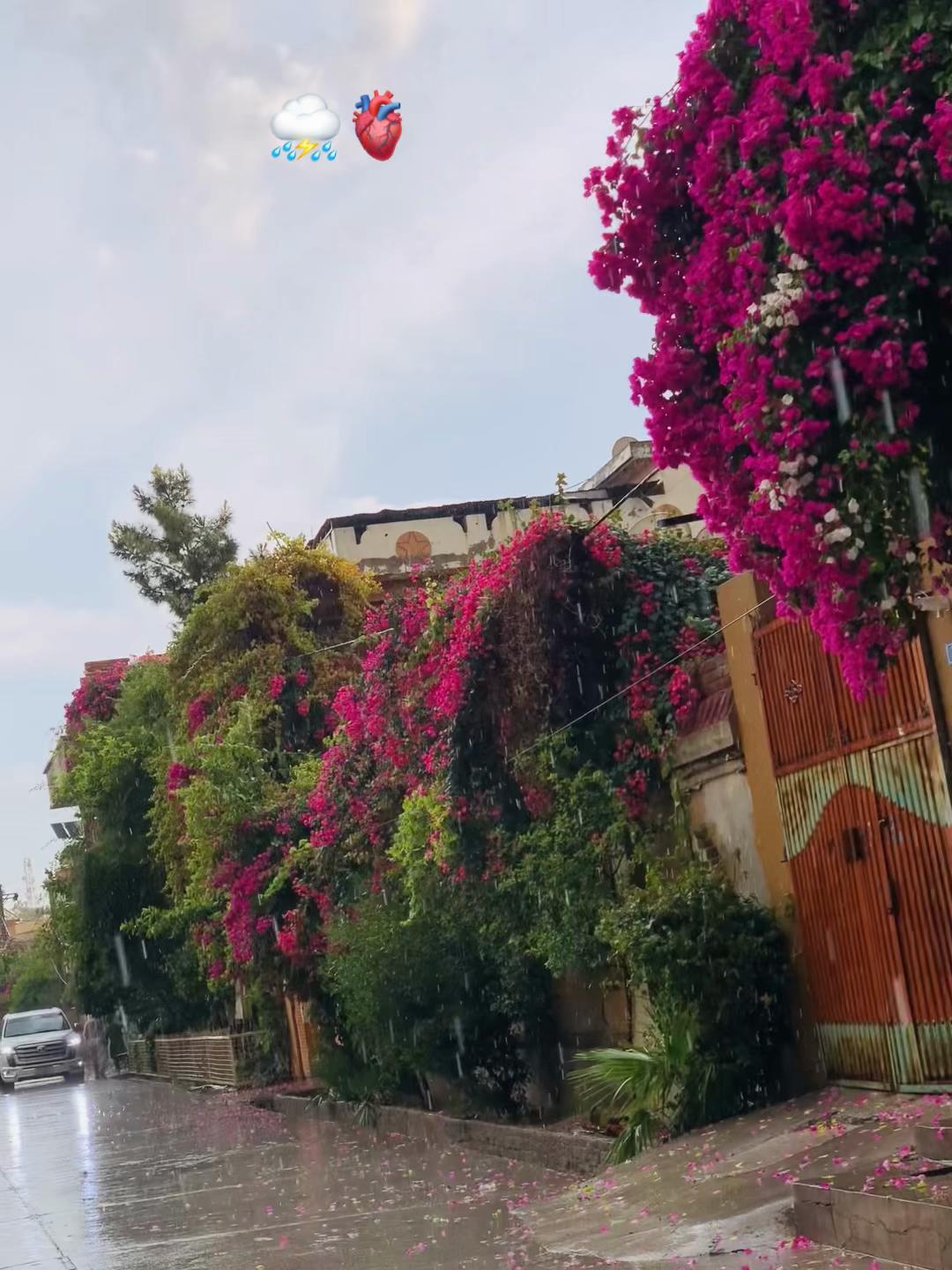 @🫀ړنګ کـــ🖤ـــو چـــ😌ـــی🦅