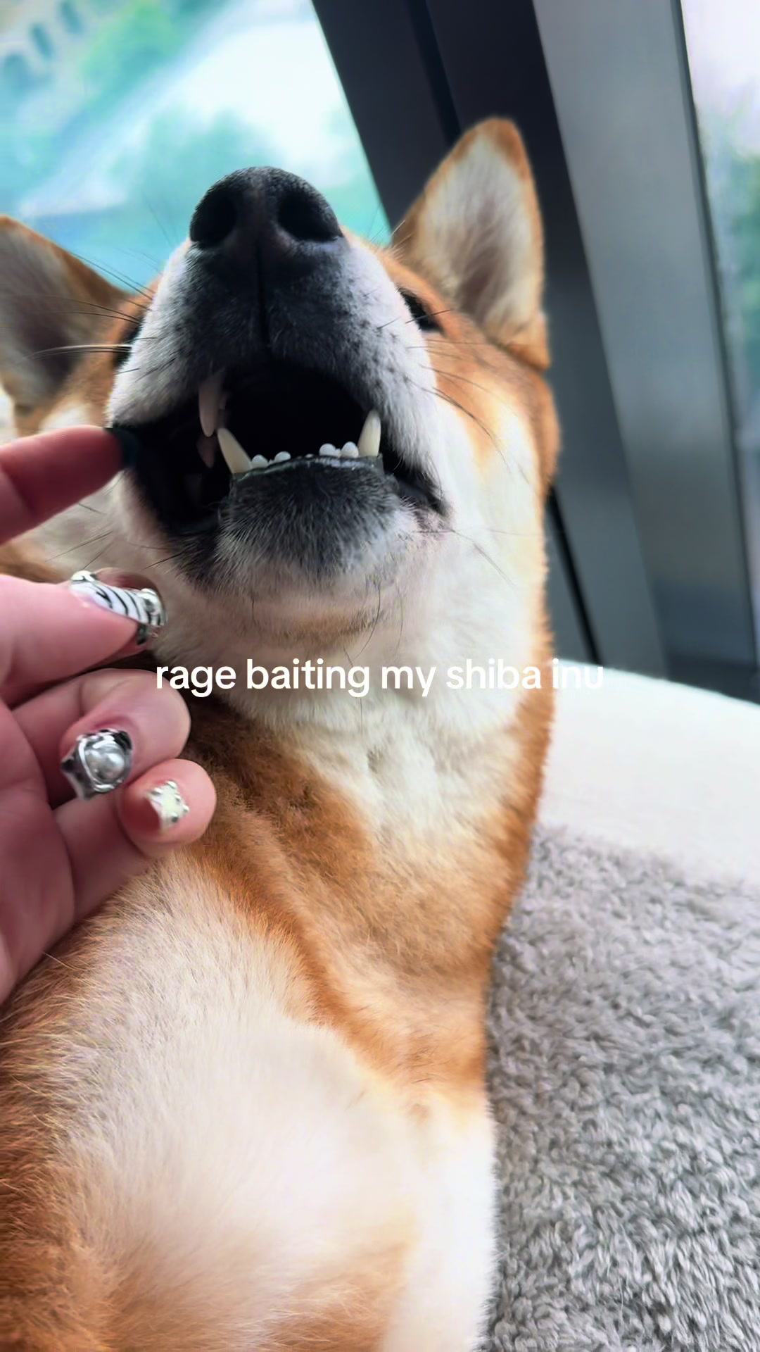 @Sabrina