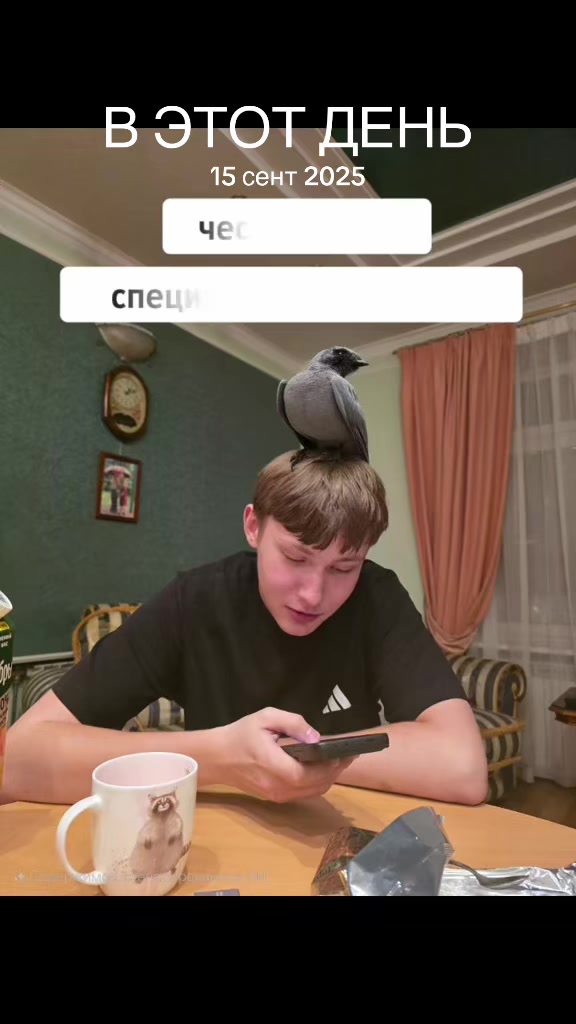 @Kr1spy_NN