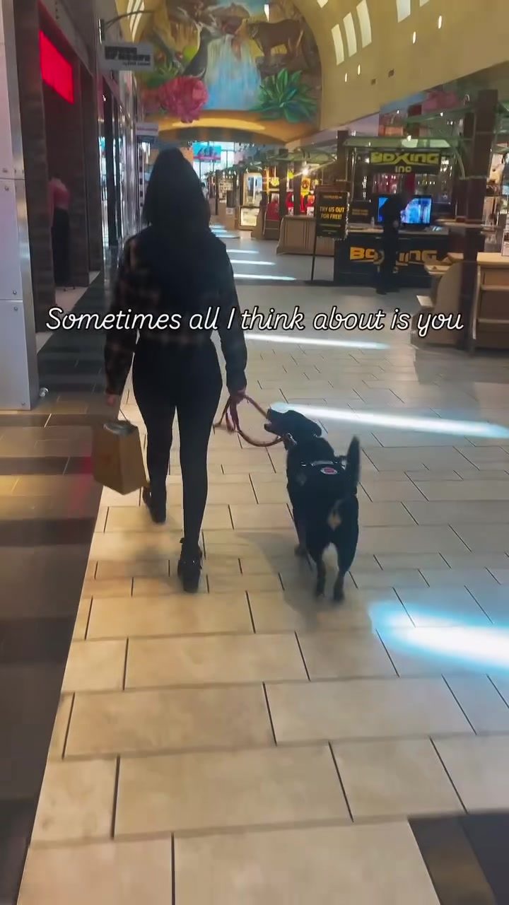 @lex 🐺⛓️