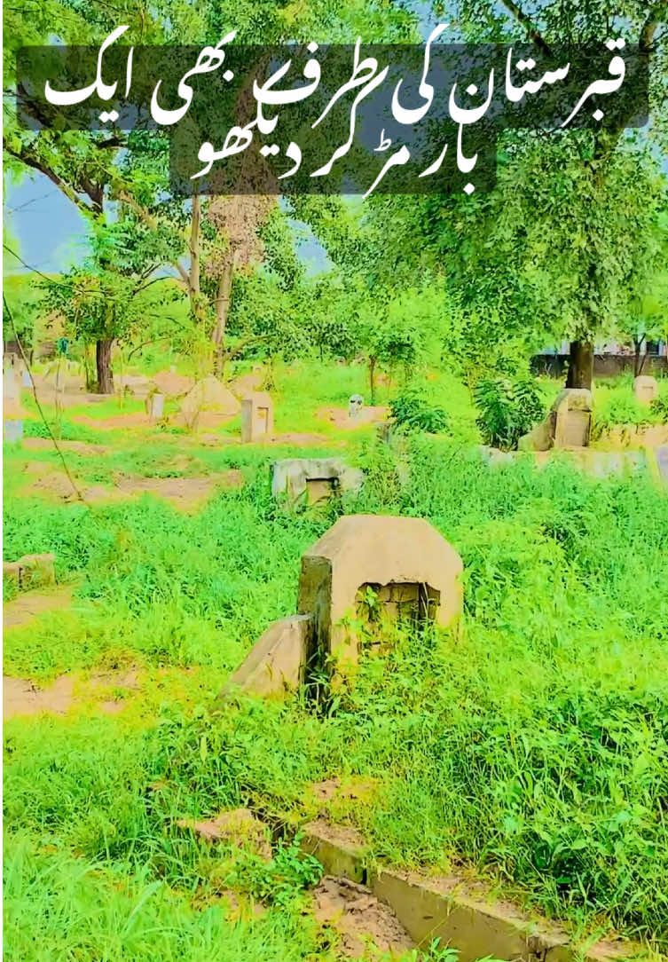 @Asif ali 25