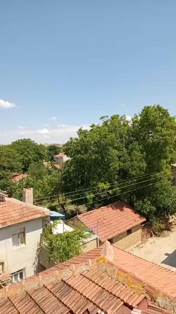 @Oguz42.07