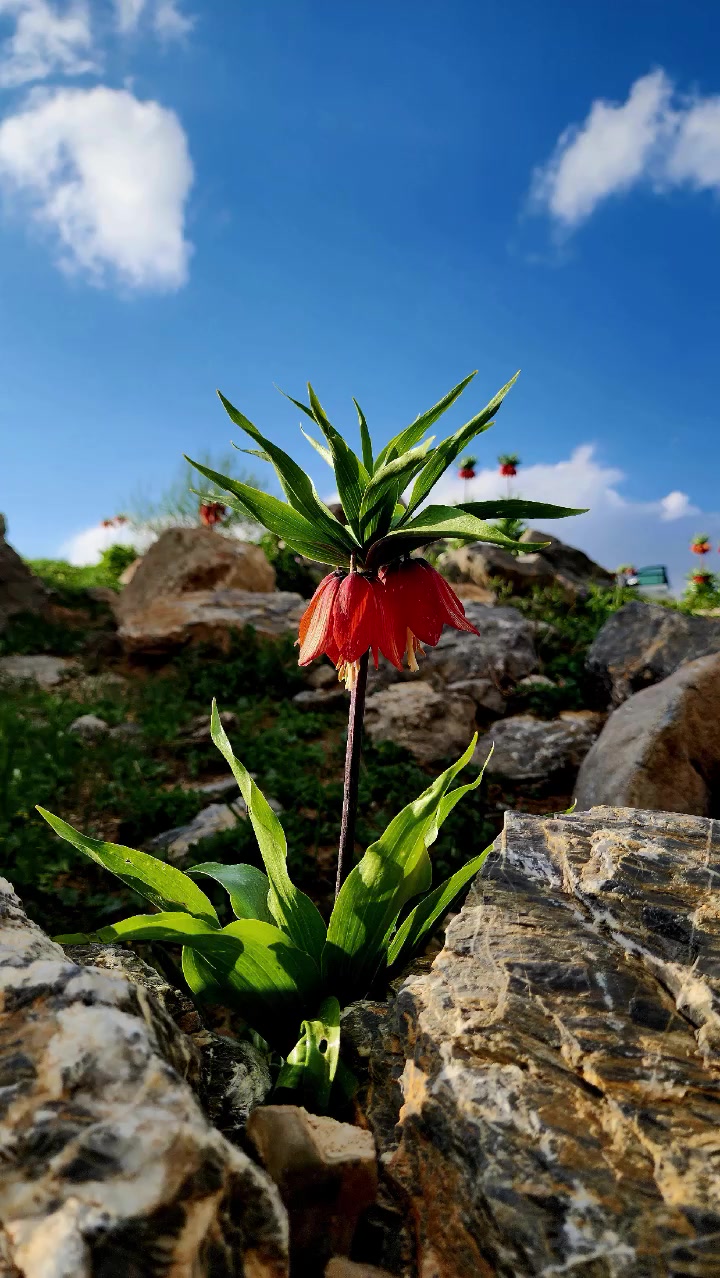 @Ni Yar
