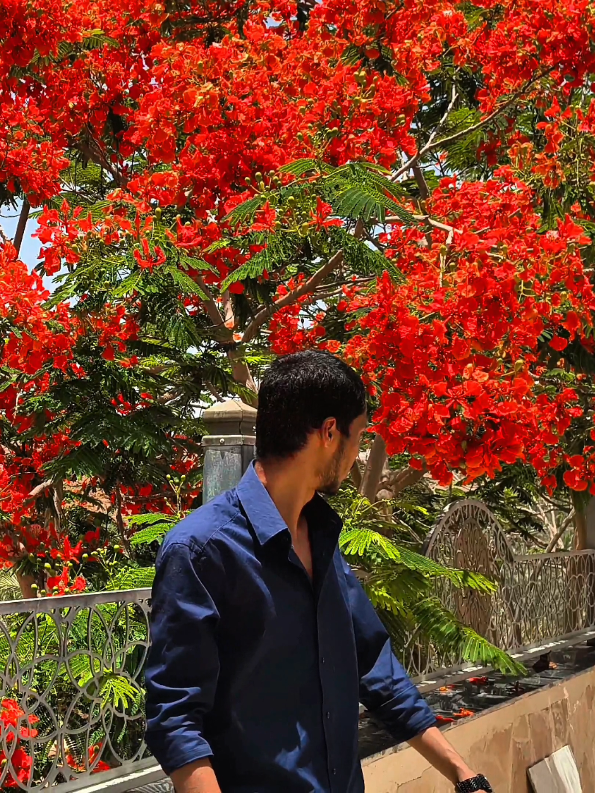 @Ꮪꫝ ᏚᎻꫝℑ𝚄 🤍🇸🇦