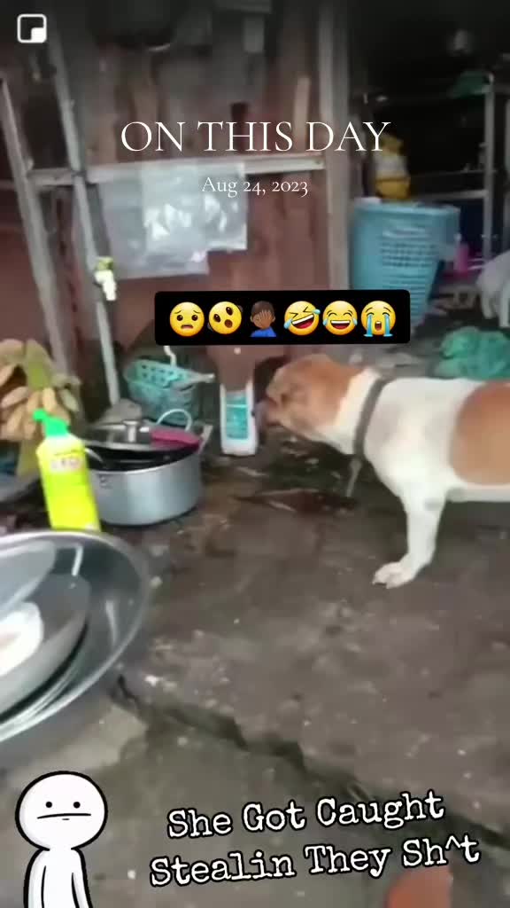 @Just ๐ธ๏ธ