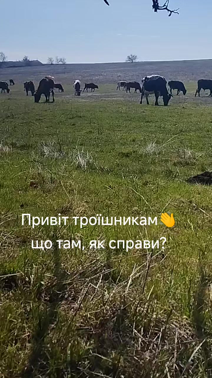 @Марченко Наталья