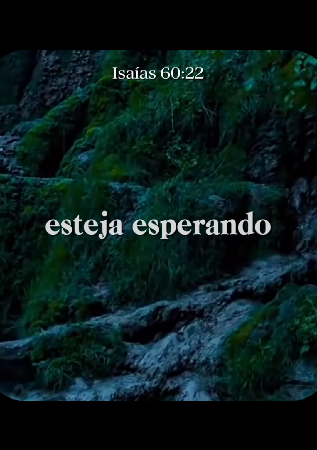 @Servo de Deus ✝️