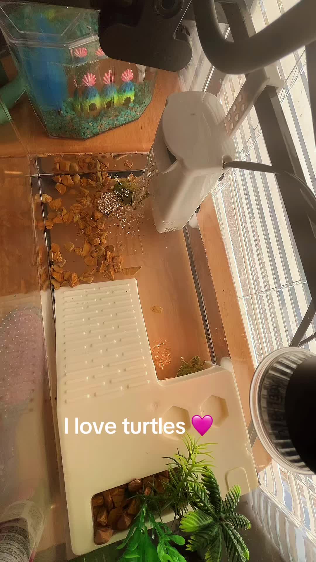 @Sofia Carriola