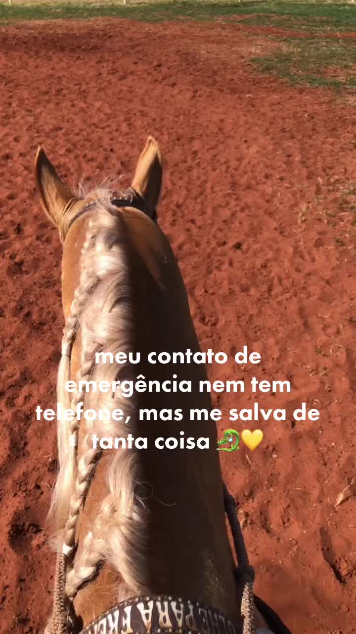 @Gustavo Baroni