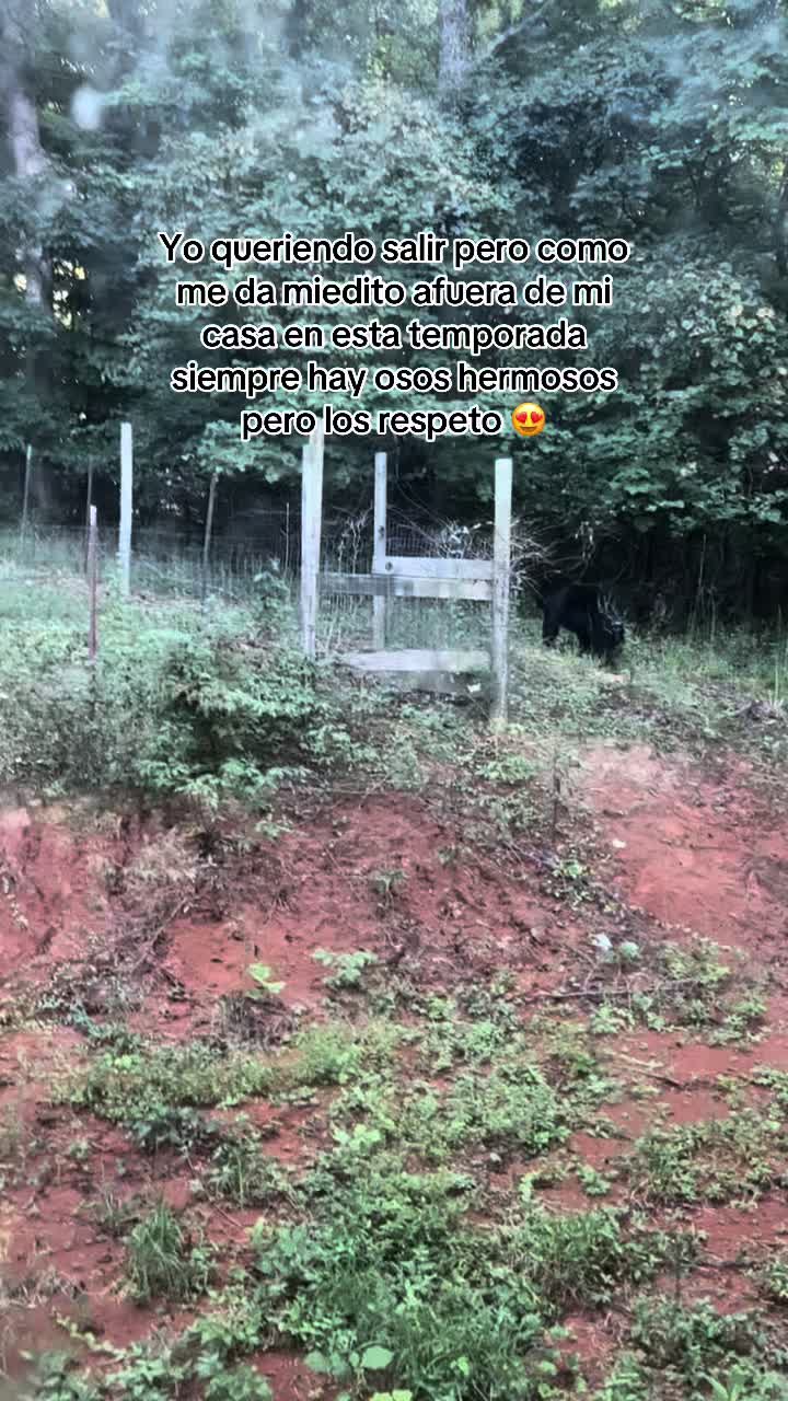 @Michoacanaallyzone