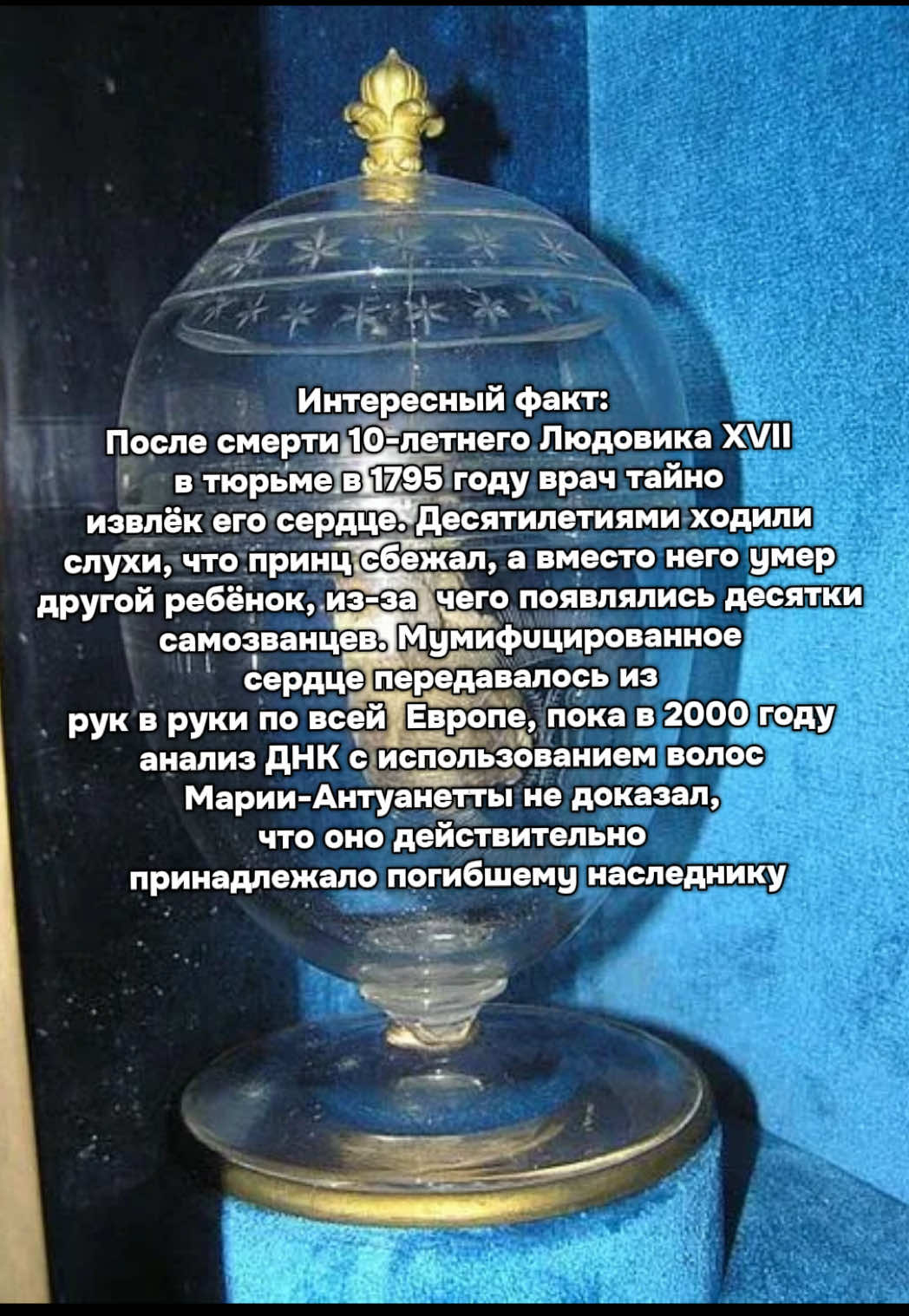 @marked156