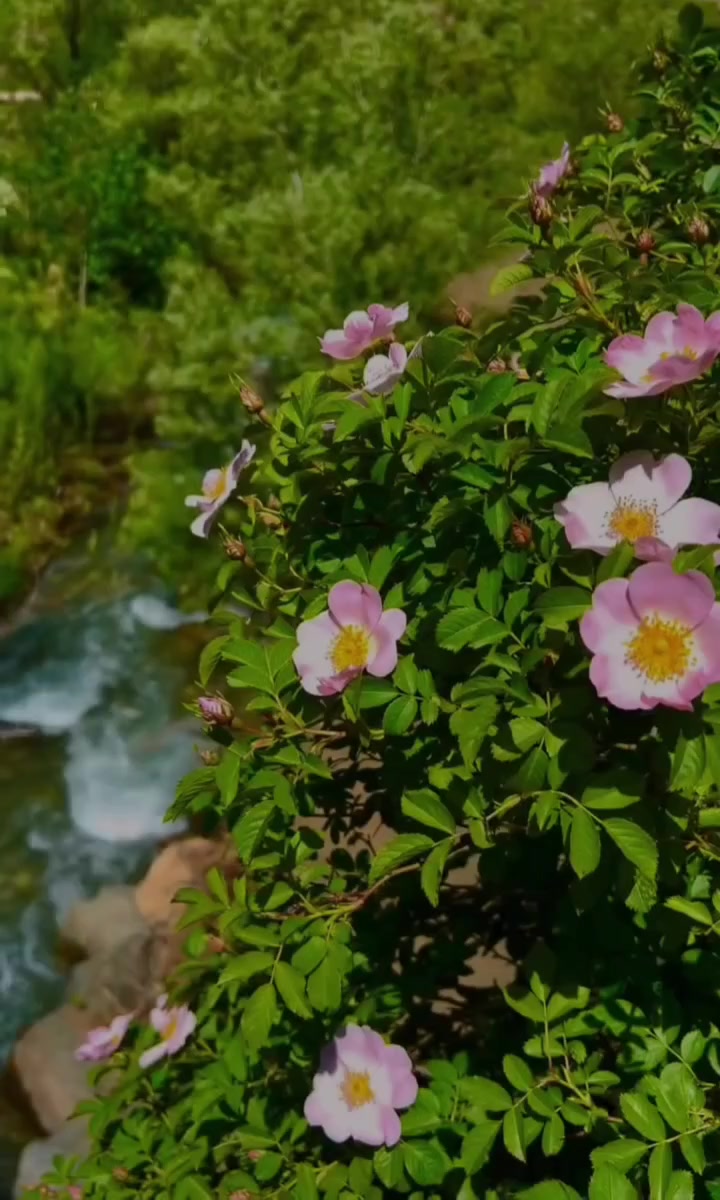 @🇰🇿🌺🌸Нᴀᴛᴀᴧья🌸Kz.16_ukg👋🤝