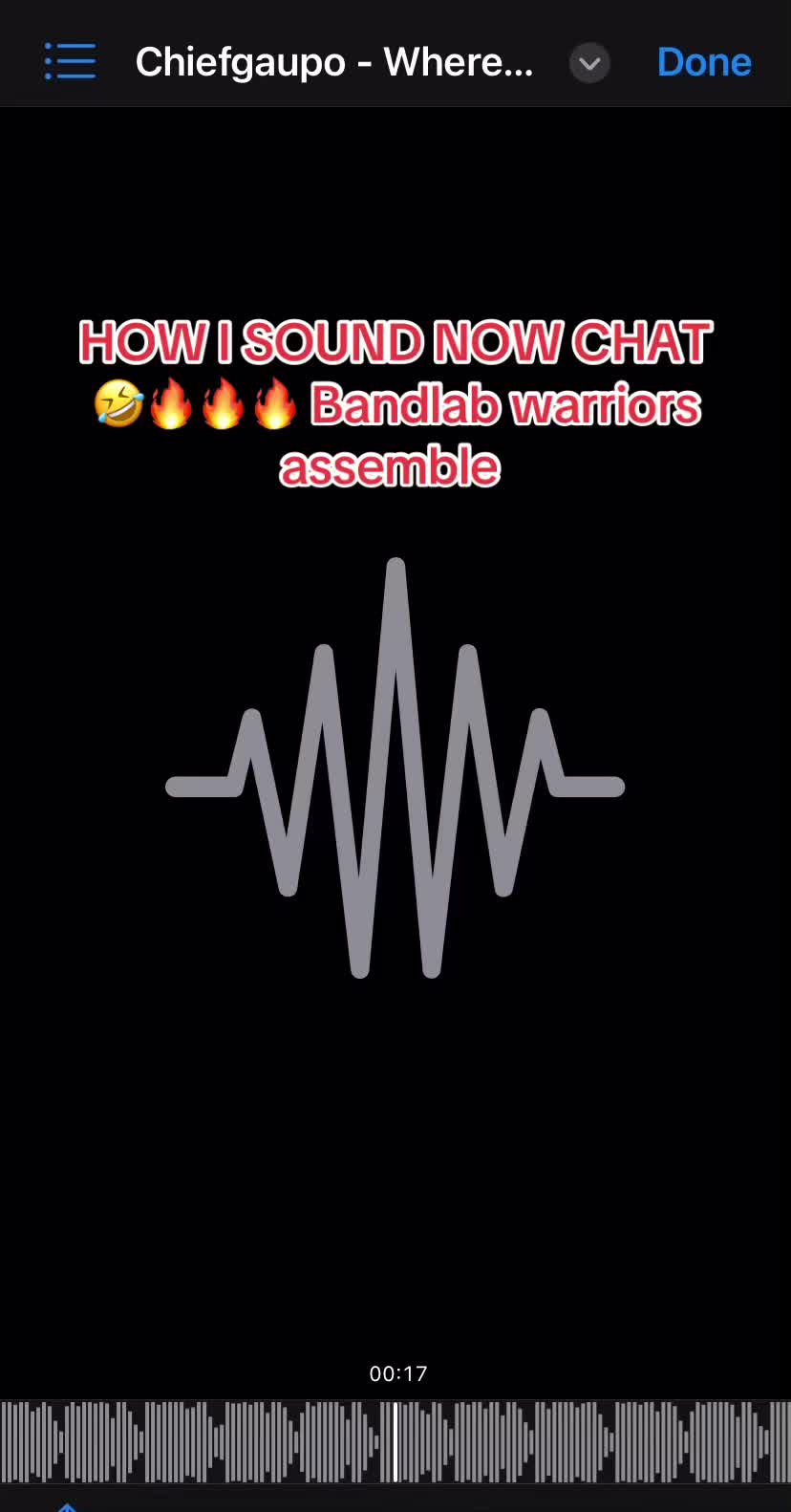 @Chiefgaupo