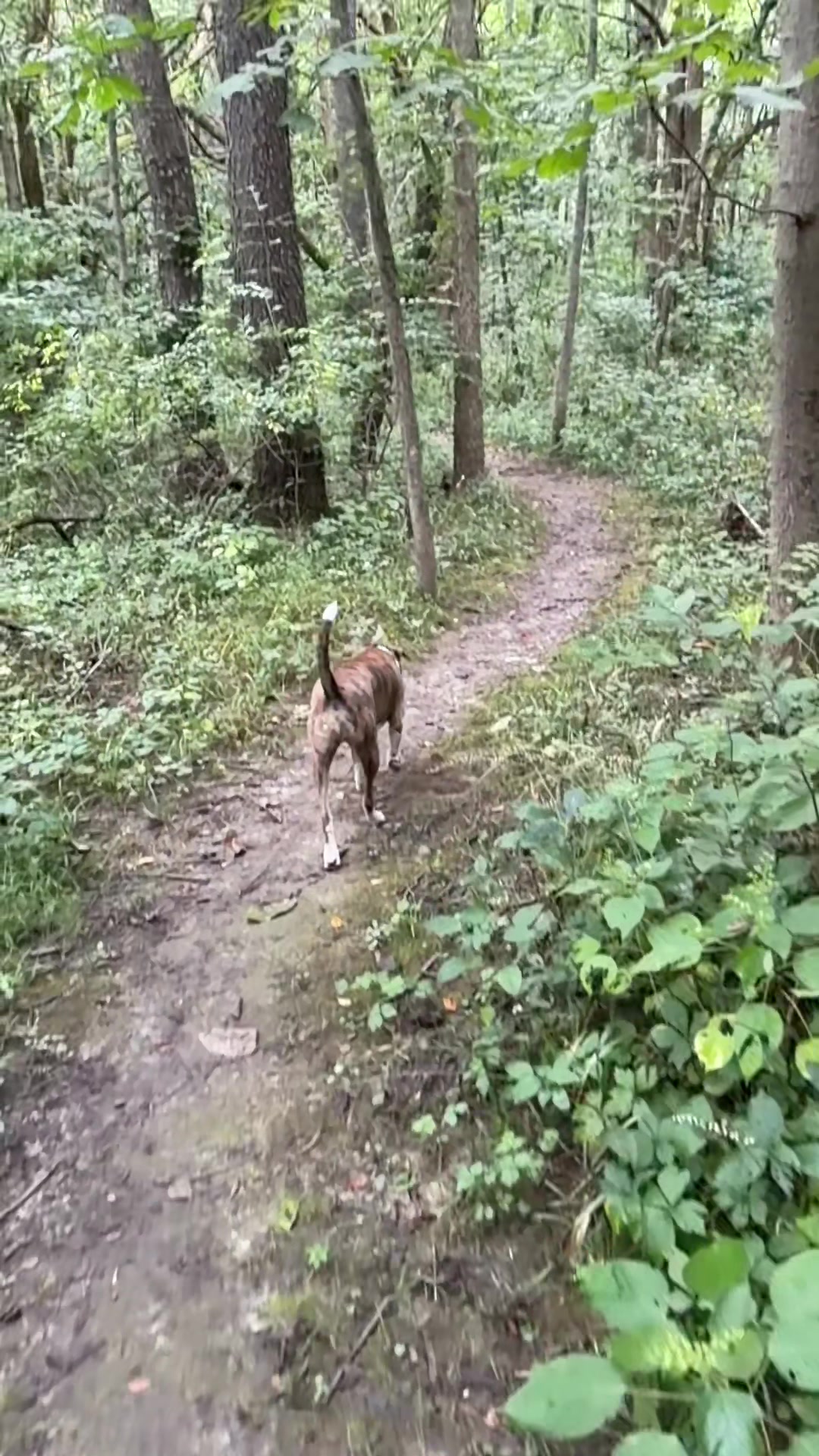 @Hikingwithstanley