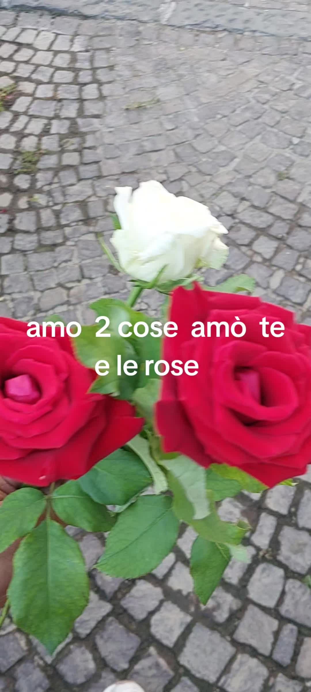 @Gino Marro
