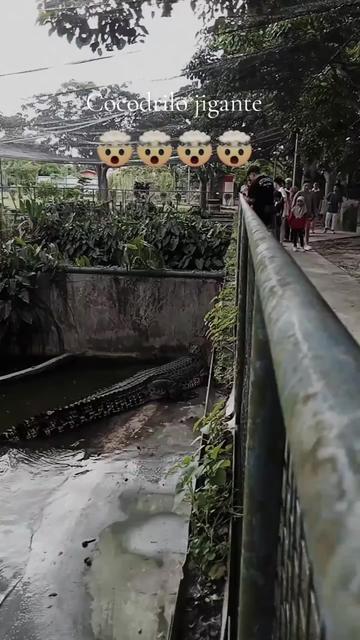 @oso