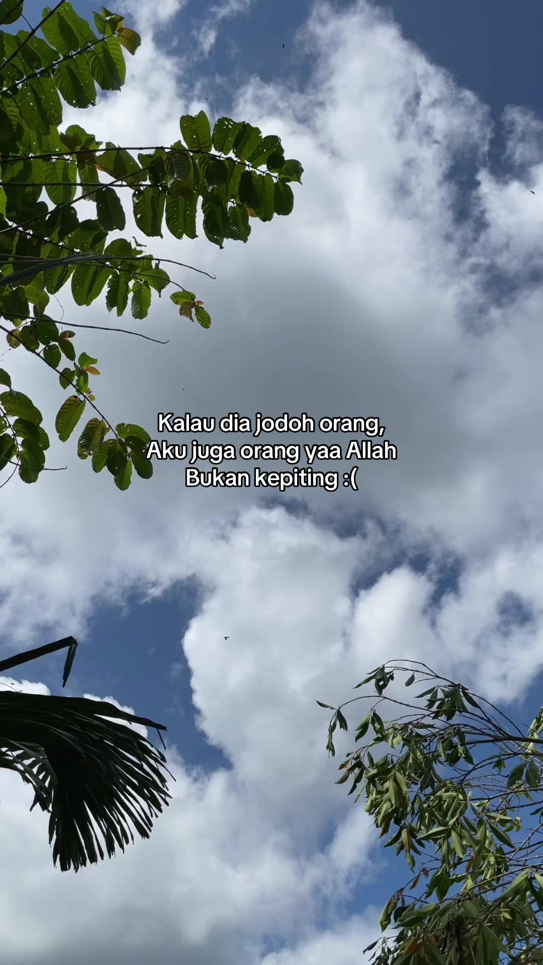 @ikbalskydder02