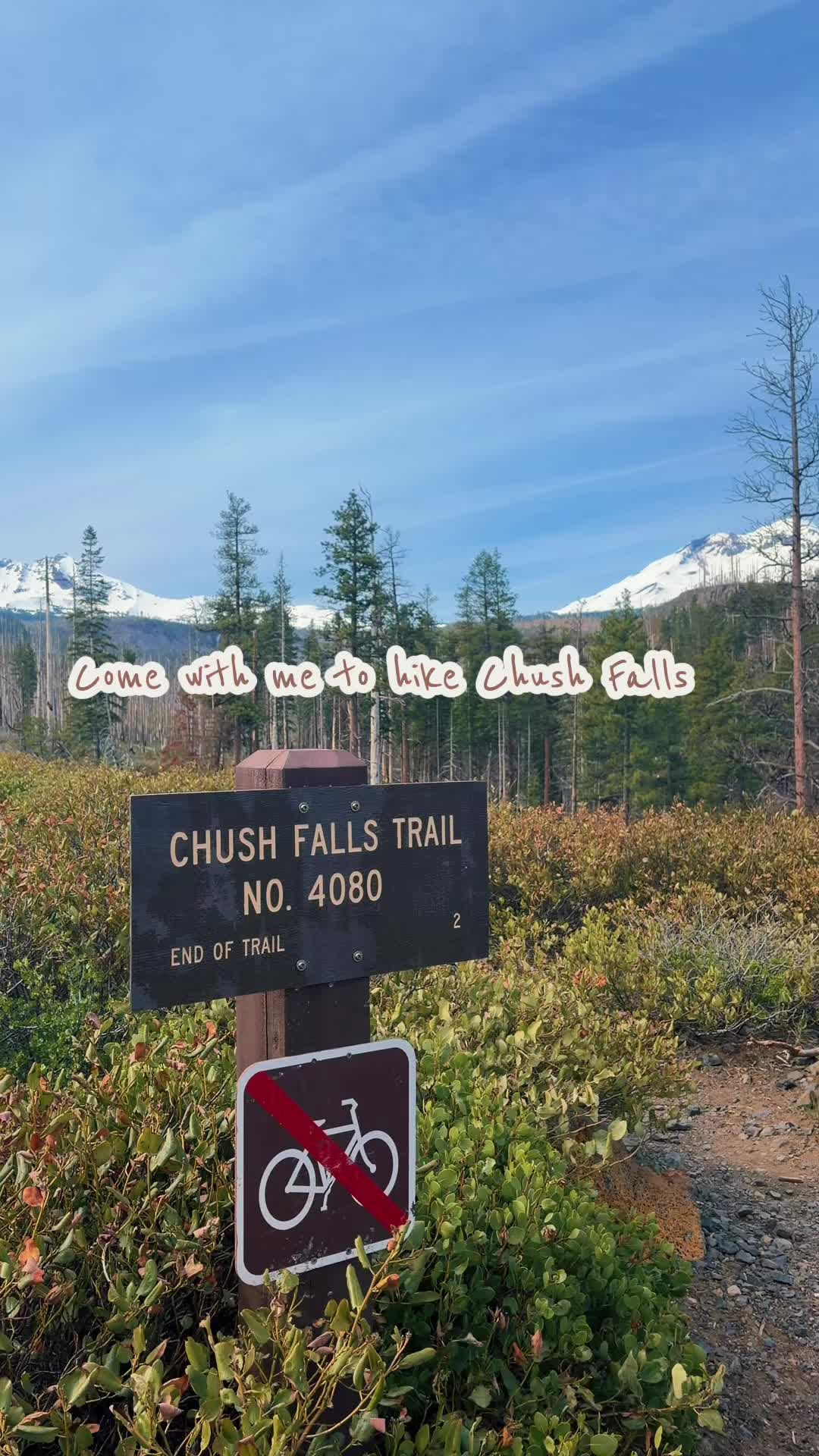 @The Accidental Oregonian