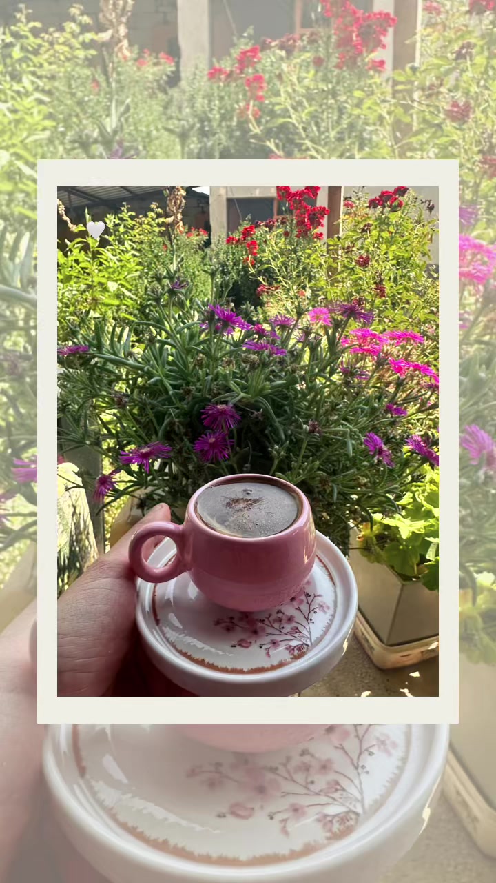 @Elif_seda_42