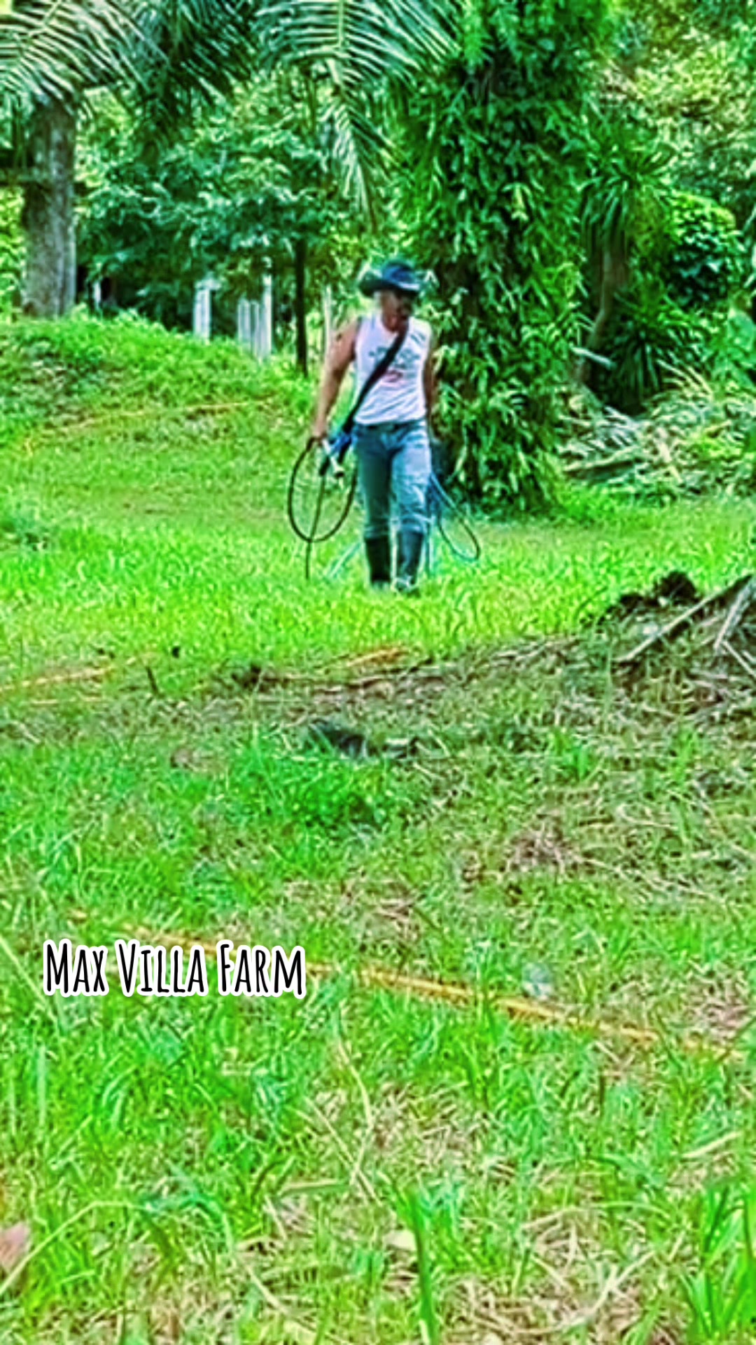 @Max Villa
