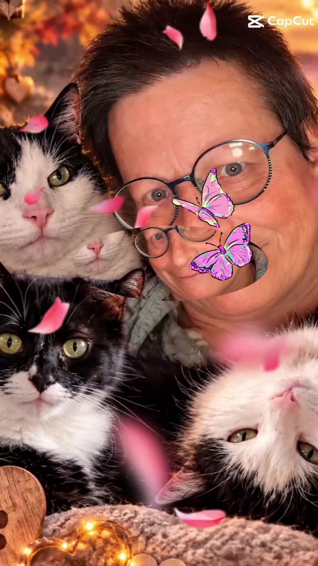 @Melanie Burg katzenstein😻😺😽