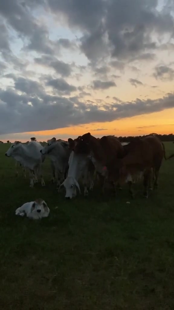 @The V6 Ranch