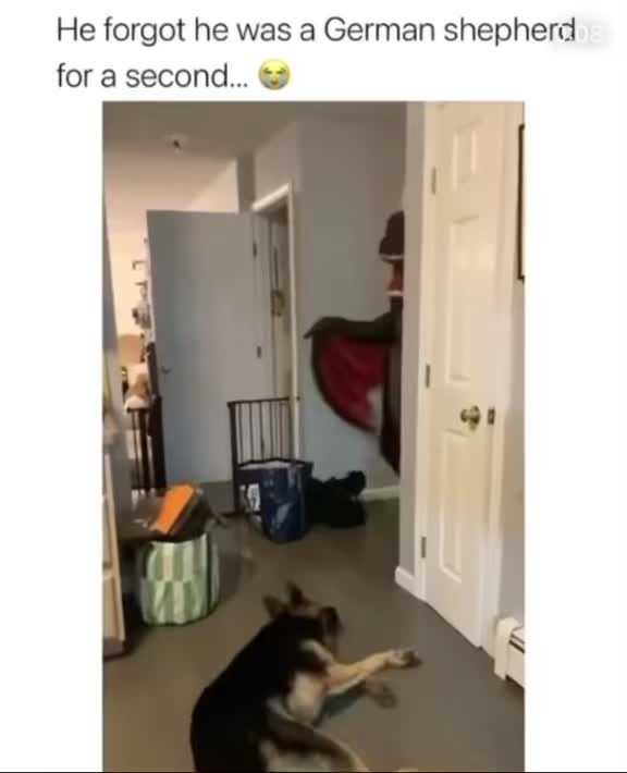 @ms.funnyy