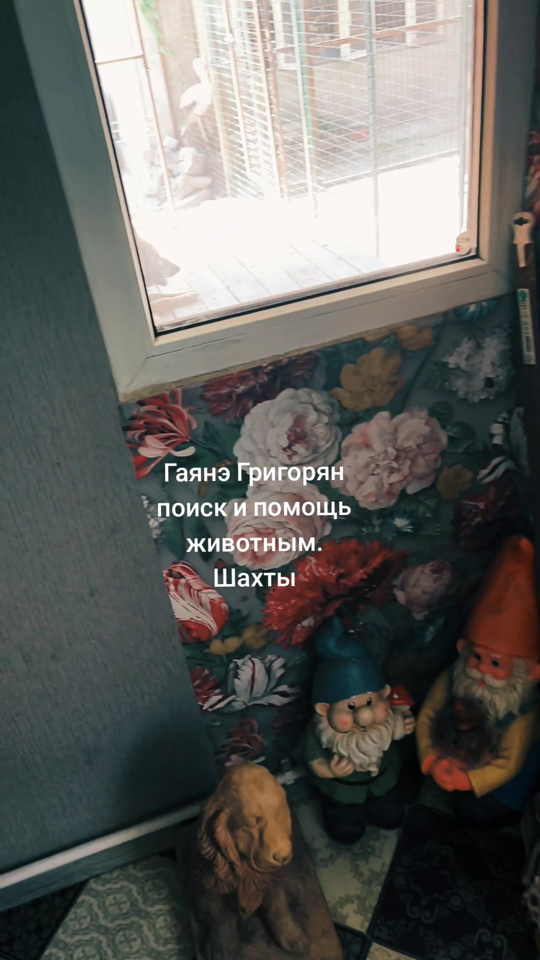 @Гаянэ Григорян