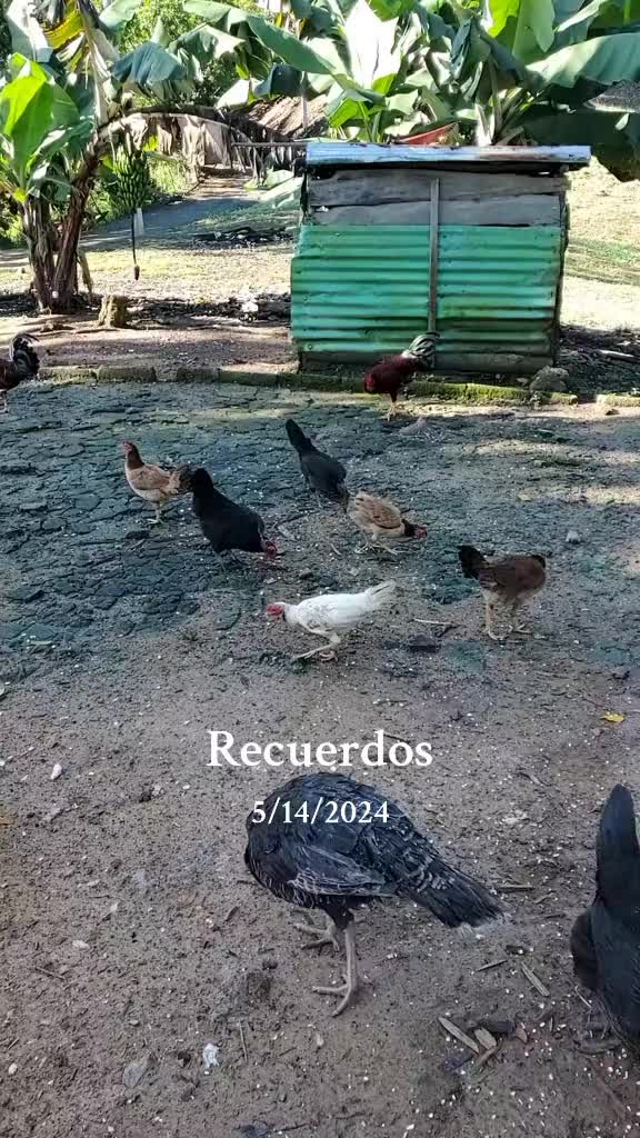 @El Mejor Fernández 💪🏼