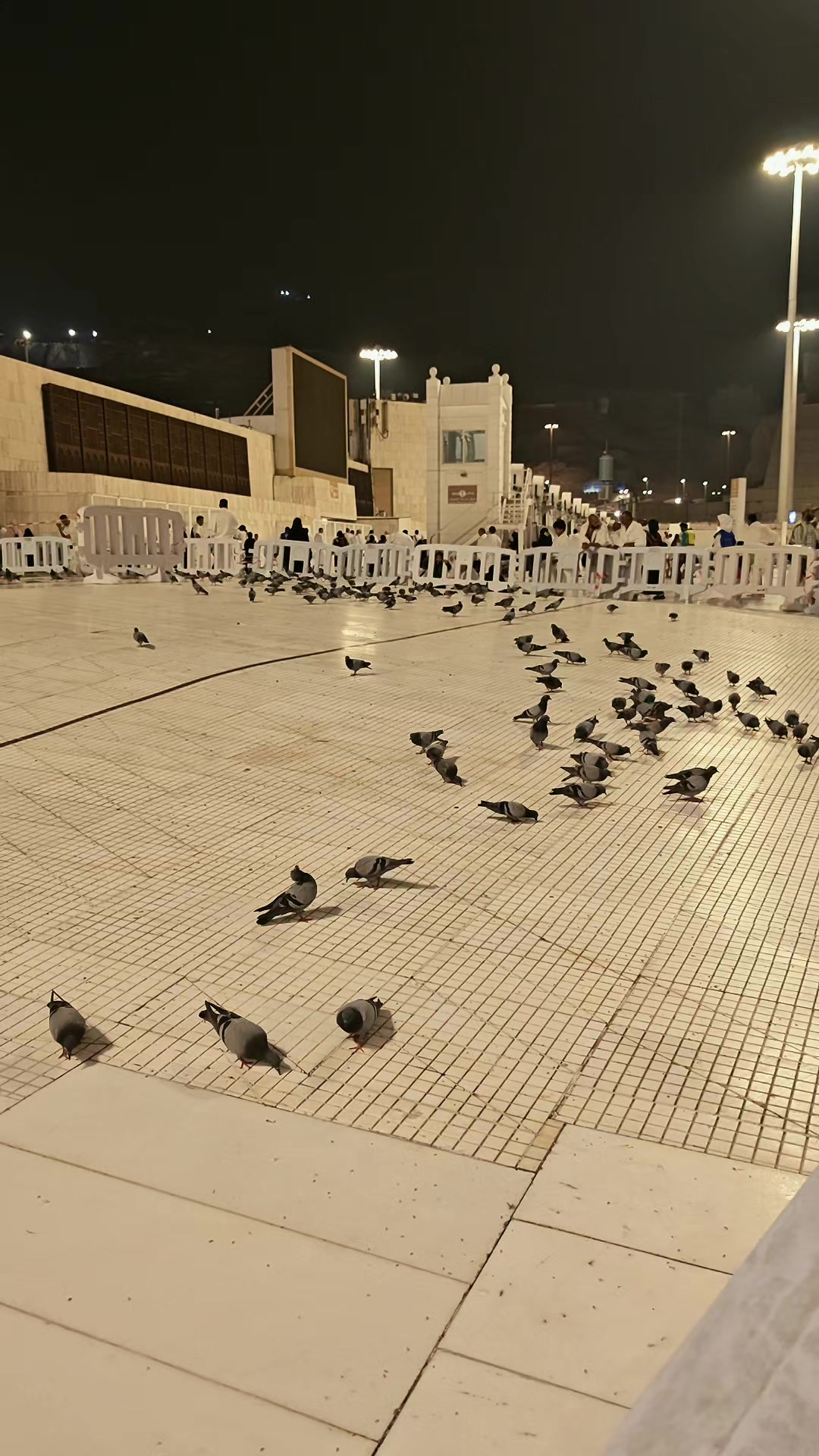@الممشى العريض🪕🎺🎻