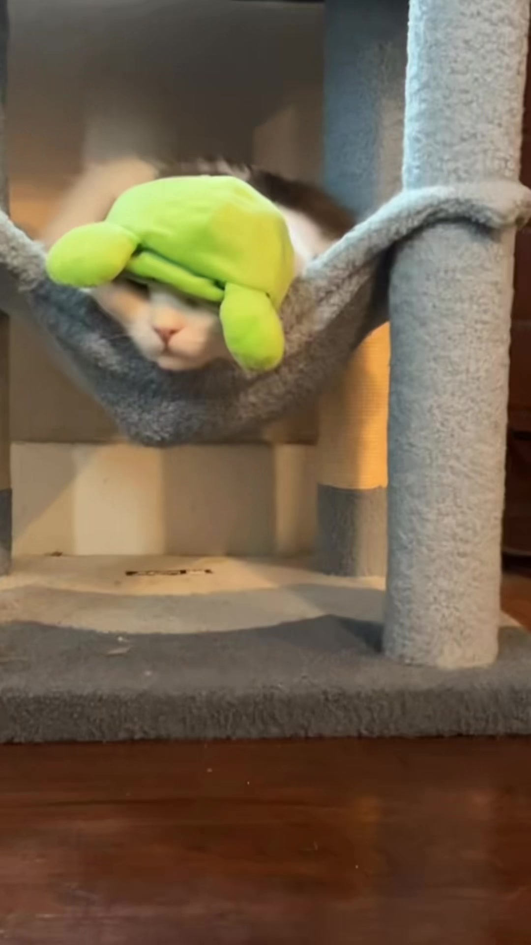 @toadandpumasmother