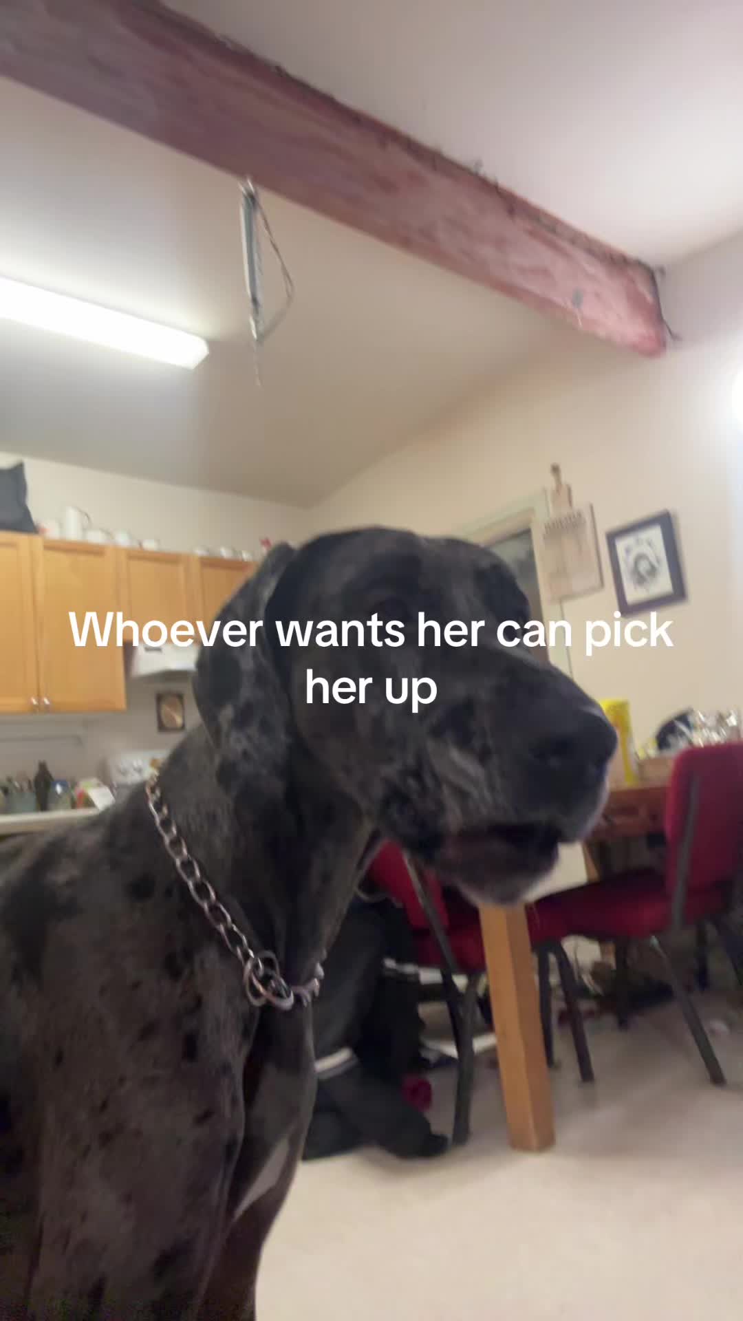 @Ms.P🇨🇦