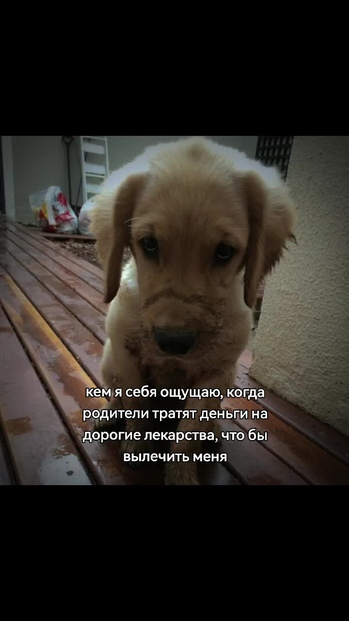 @lin_li^᪲᪲