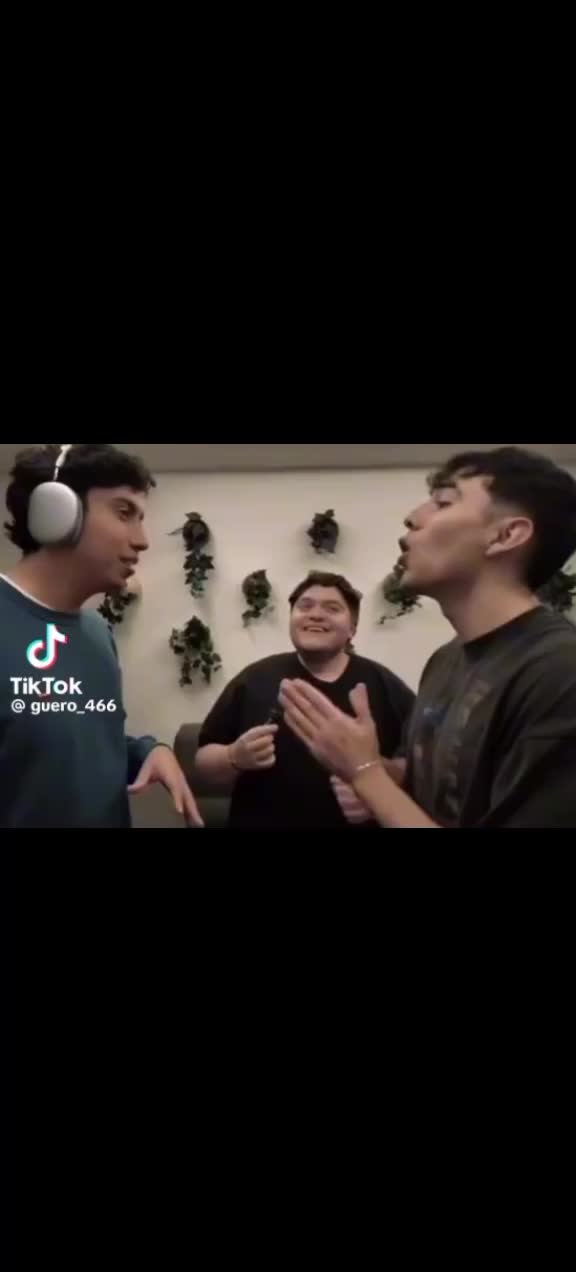 @gatico instintoXD