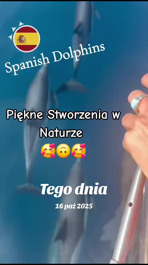 @mariuszmwm