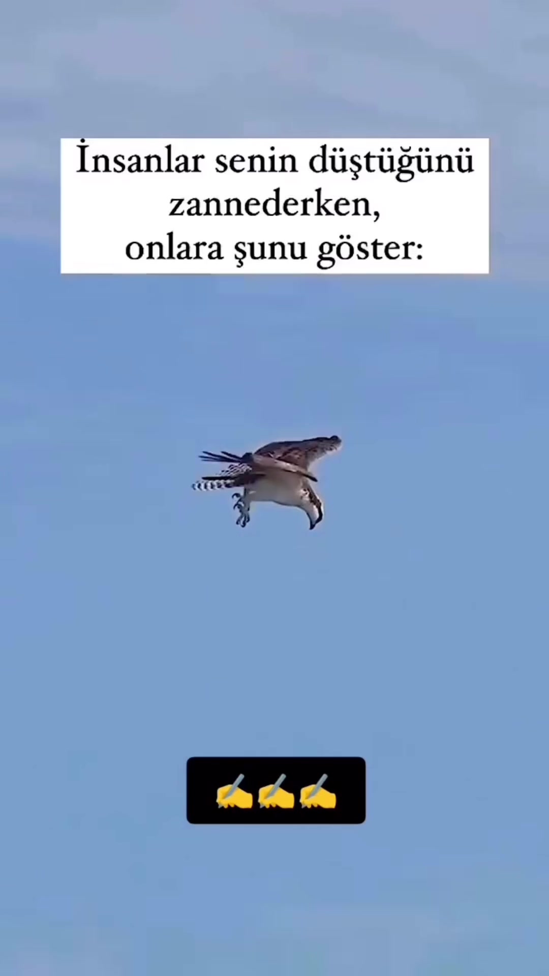 @modernsozluk
