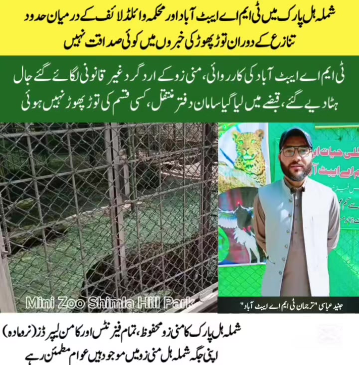 @Junaid Abbasi