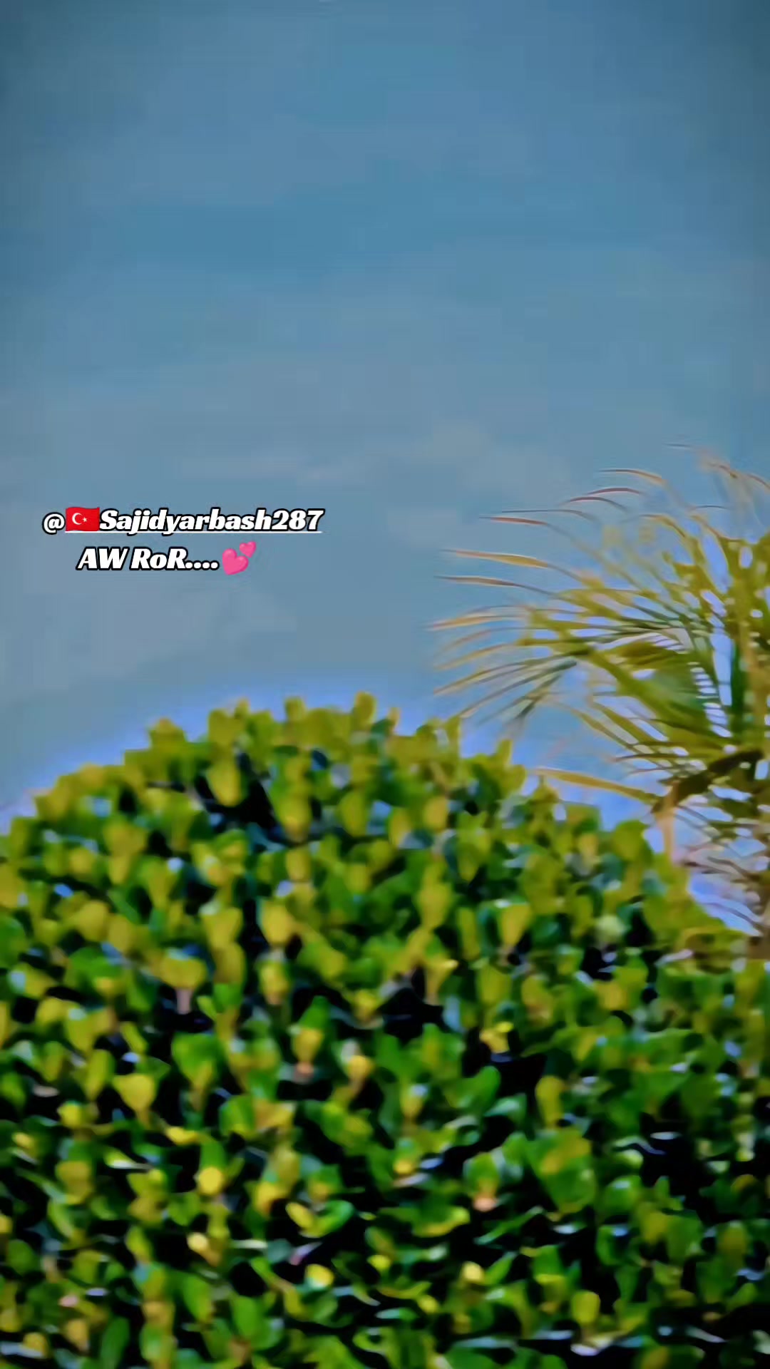@😎 𝐀𝐊 B̶R̶A̶N̶D̶ 🔛🔝