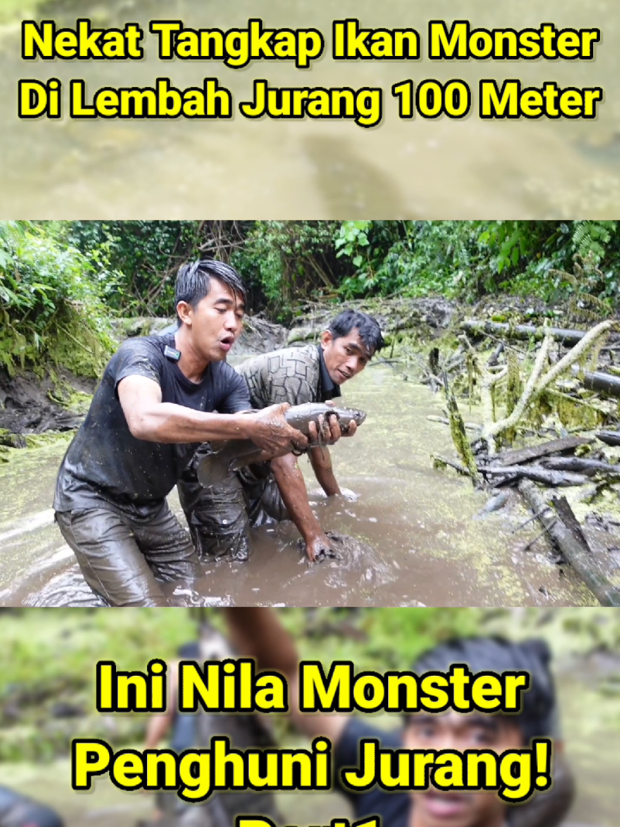 @imam noer