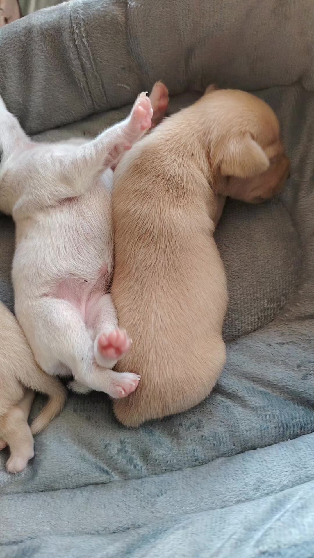 @Hern&aacute;ndez