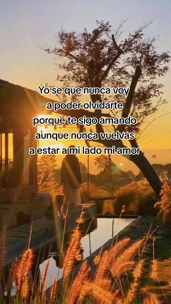 @socorro